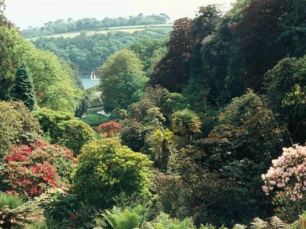 Kitts Cottage - Cornwall - 988866 - thumbnail photo 17
