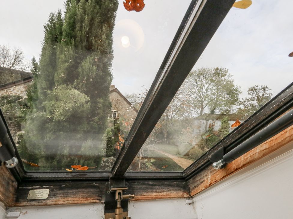 A view through a skylight showing a tree and a path at Droop Farm Cottage Droop near Hazelbury Bryan