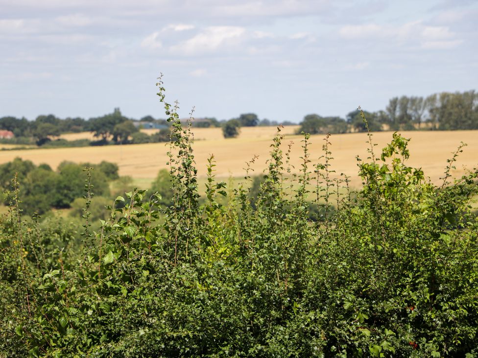 Henmarsh Cottage - Cotswolds - 988992 - thumbnail photo 45