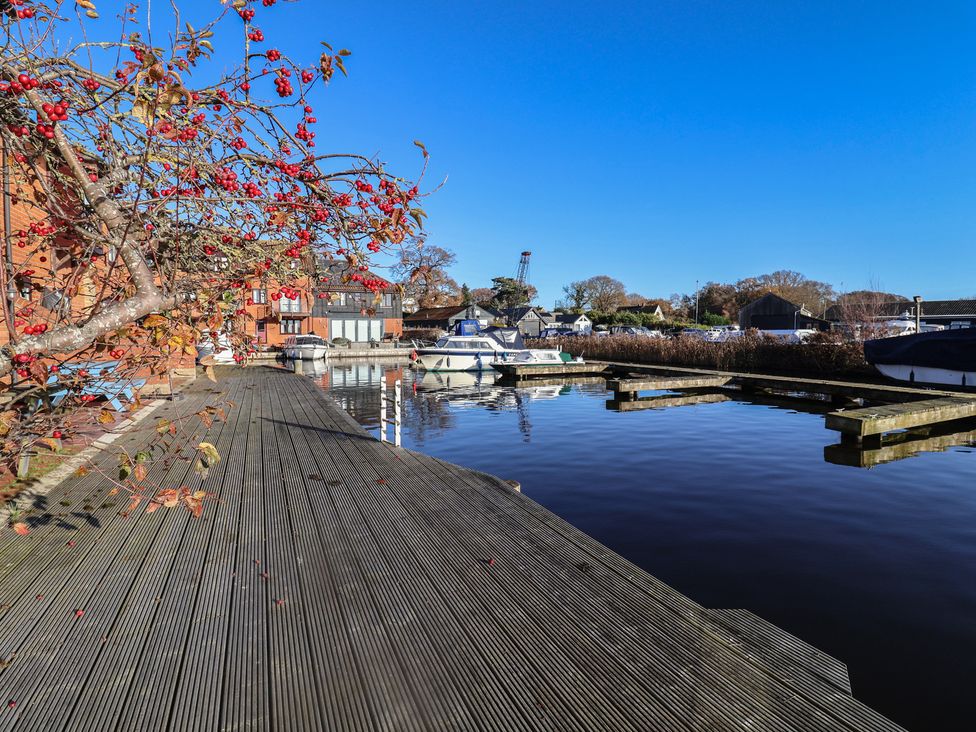 A marina with boats and a tree by the water at Daisy Lodge in Norwich