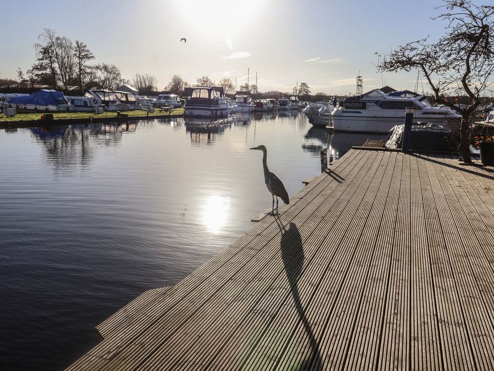A heron standing on a boardwalk by the water at Daisy Lodge in Norwich