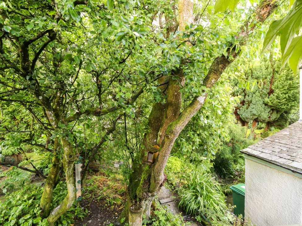A garden with trees and a pathway at Holemire Barn in Lorton