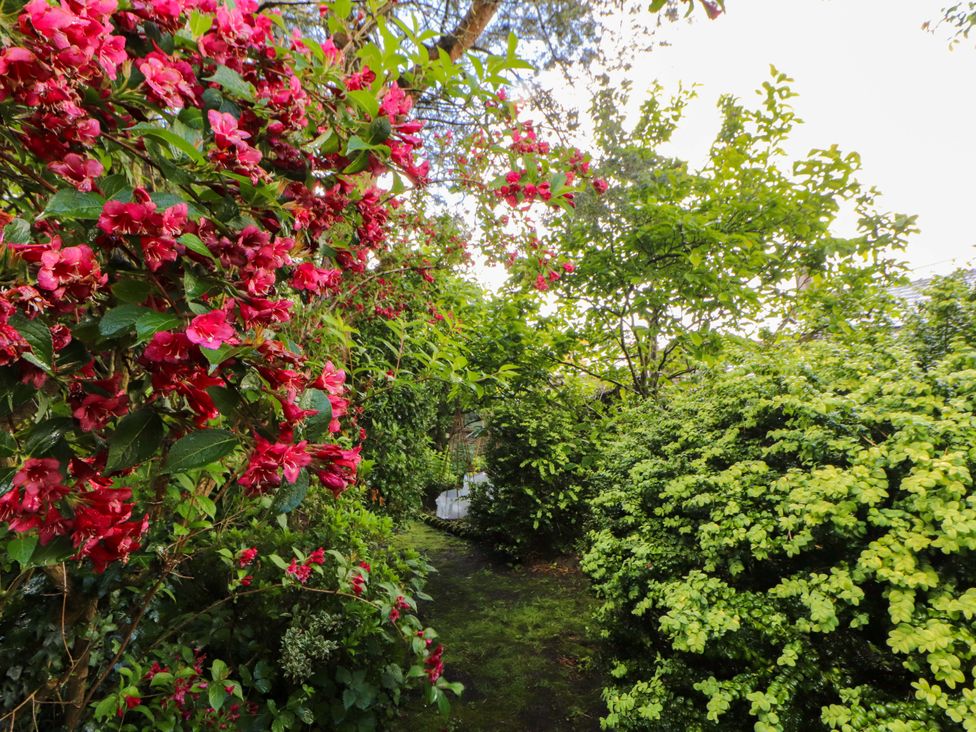 A garden with pink flowers and greenery at Holemire Barn in Lorton