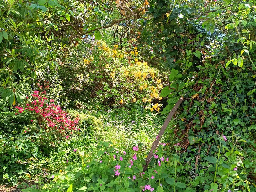 A garden with various flowers and bushes at The Patio Flat in Bodmin Moor