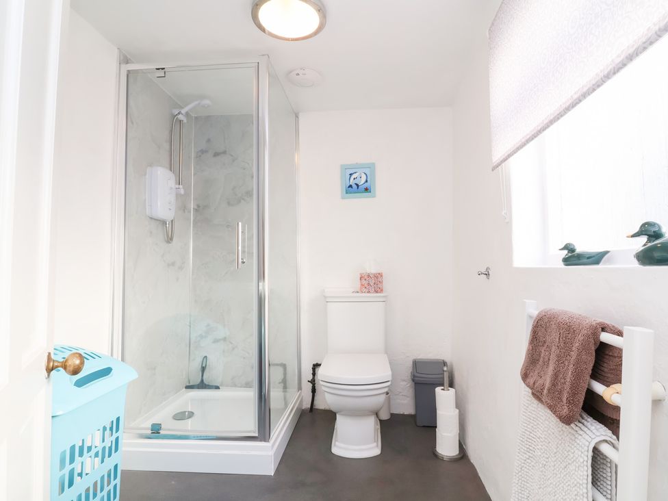 A bathroom with a shower and toilet at Willets Cottage in Appledore