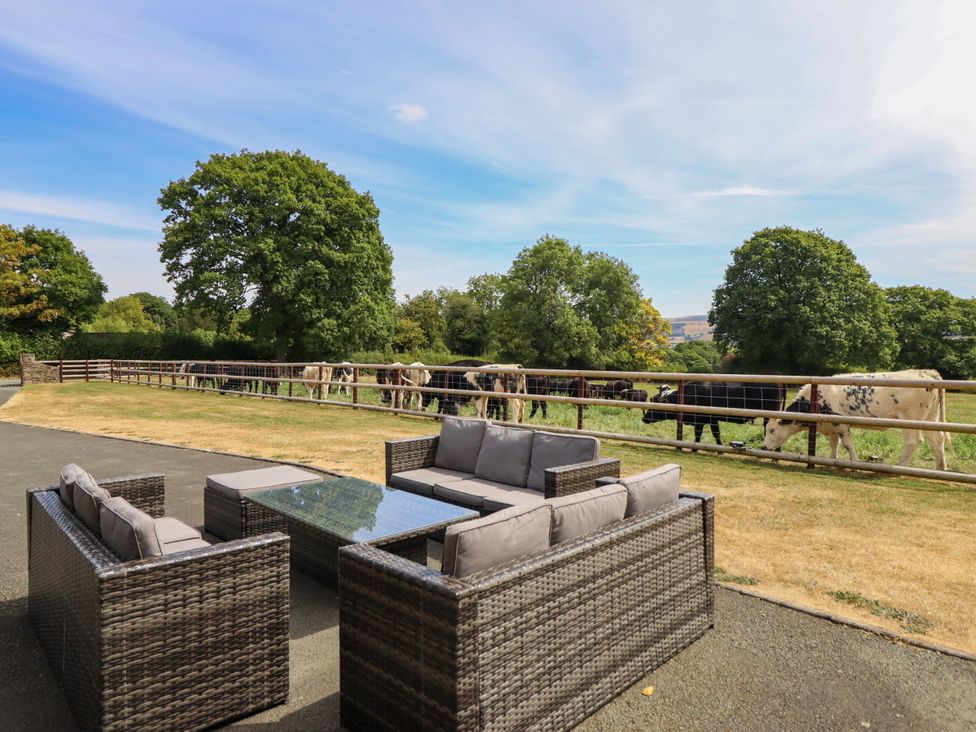 A seating area with a table and cows grazing at Ty Berllan in Caersws