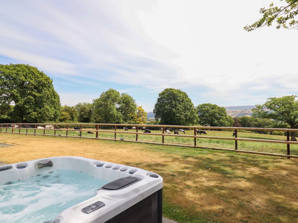 A hot tub with a view of cows in a field at Ty Berllan in Caersws