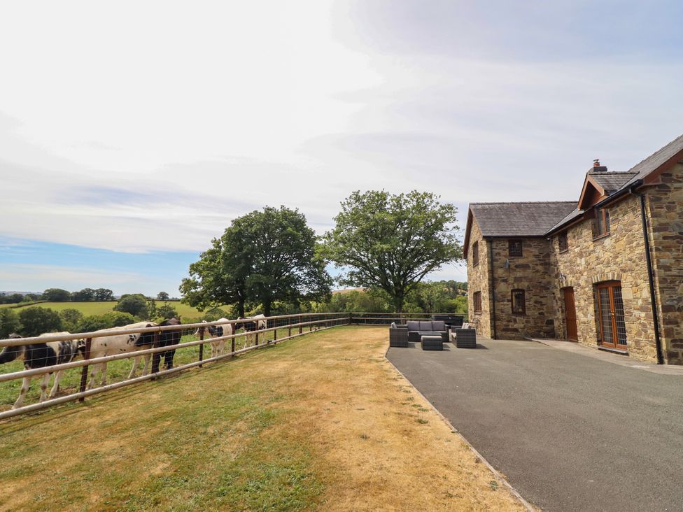 An outdoor area with cows near a house at Ty Berllan in Caersws