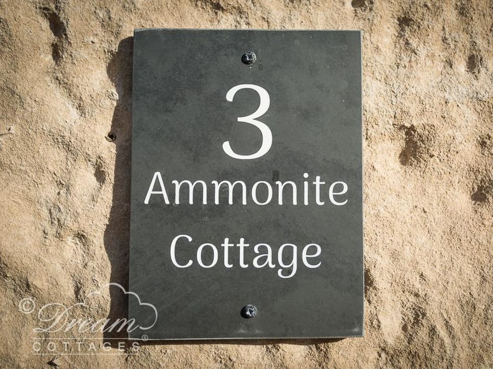 Ammonite Cottage - Dorset - 993922 - thumbnail photo 2