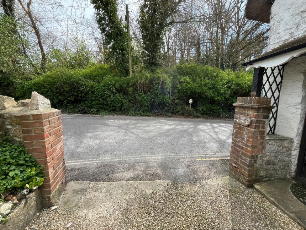 An outdoor area with a path and bushes at Little Ivy in West Lulworth