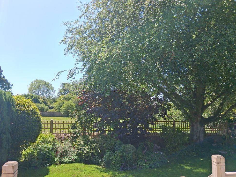 A garden with trees and a fence at Little Retreat in Upwey