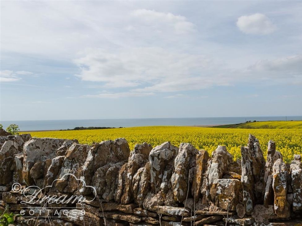 The Old Reading Room - Dorset - 994488 - thumbnail photo 36