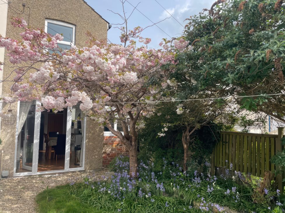 A garden with trees and flowers at Pedaller's Cottage in Weymouth