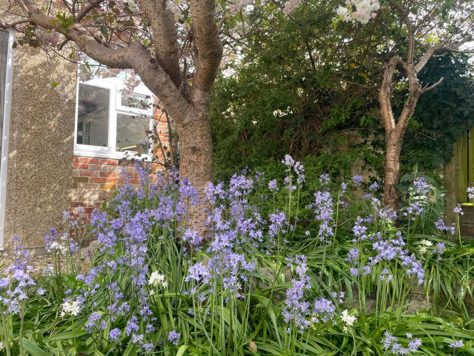 A garden with flowering plants and a tree at Pedaller's Cottage in Weymouth