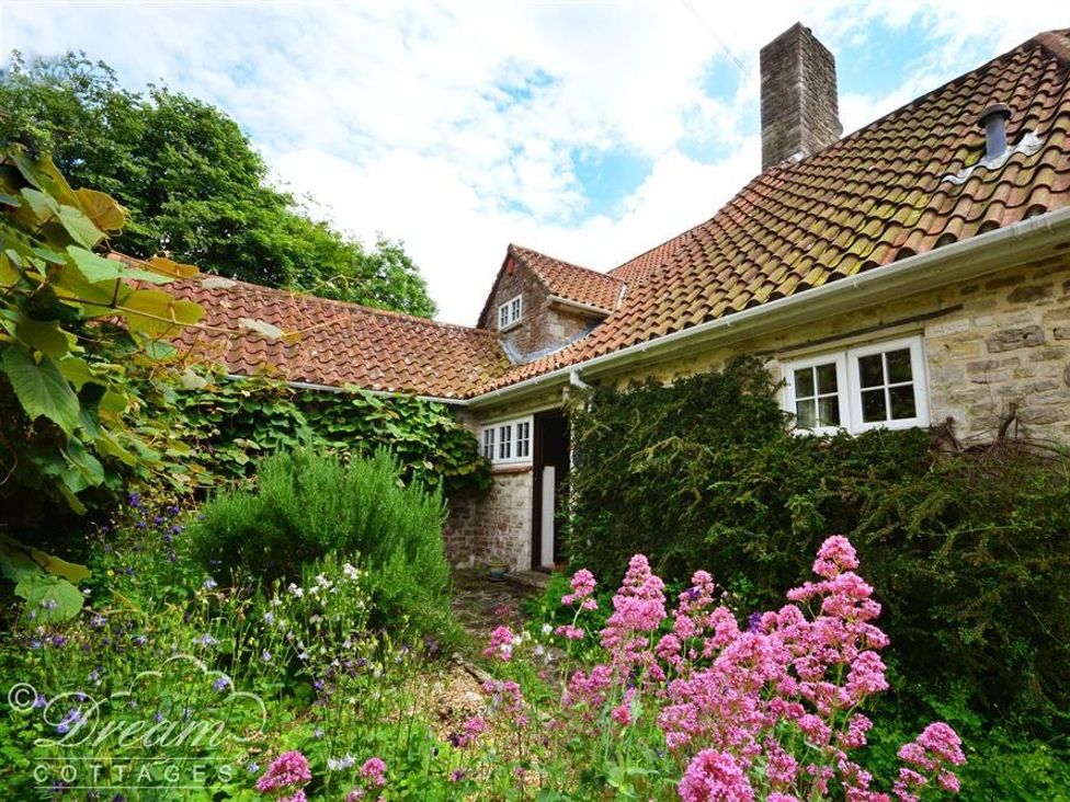 Sixpenny Cottage - Dorset - 994658 - thumbnail photo 2