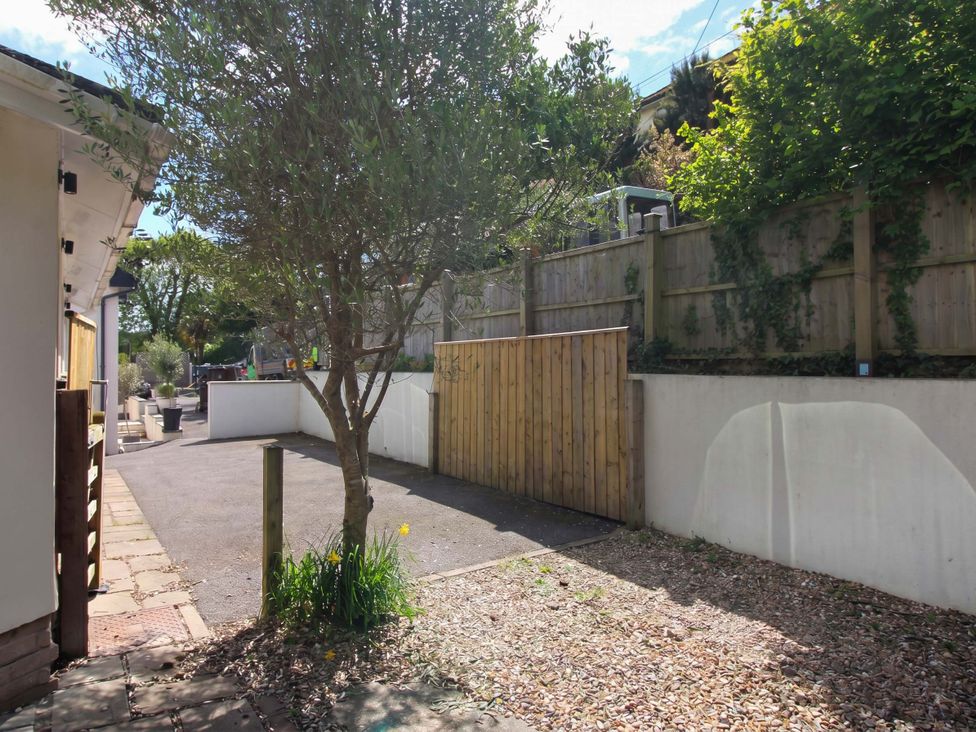 A garden area with a tree and pathway at Rock Point in Salcombe