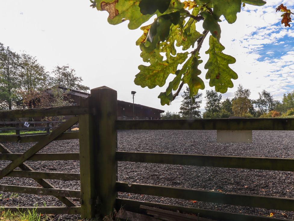 Roe Deer Country Retreat - Lake District - 996118 - thumbnail photo 82