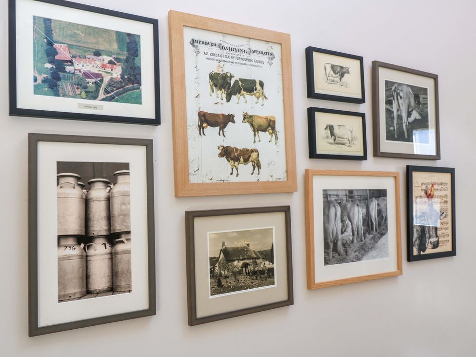 A wall with framed photographs and artworks depicting farming and cows at The Old Dairy in Cotleigh near Honiton
