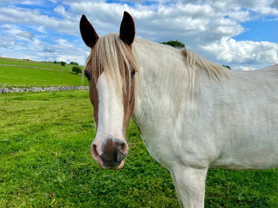 The Stables - Peak District & Derbyshire - 998284 - thumbnail photo 17