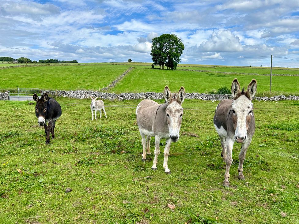 The Stables - Peak District & Derbyshire - 998284 - thumbnail photo 18