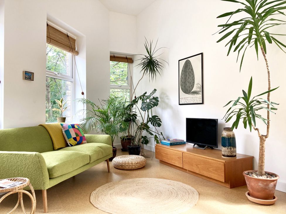 A living room with a green couch and plants at The Old Riverside School House in Hebden Bridge