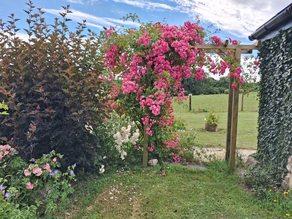 A garden with flowers and a wooden arch at Owl Barn Tavistock