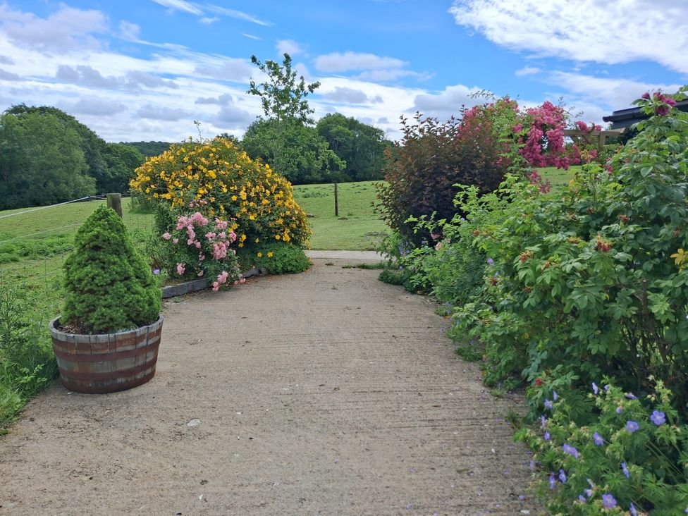 A garden pathway surrounded by flowering shrubs at Owl Barn in Tavistock