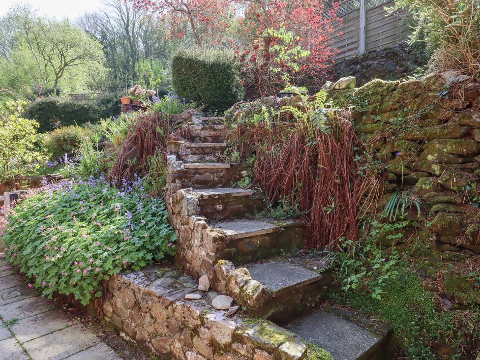 Jasmine Cottage - Devon - 999906 - thumbnail photo 25