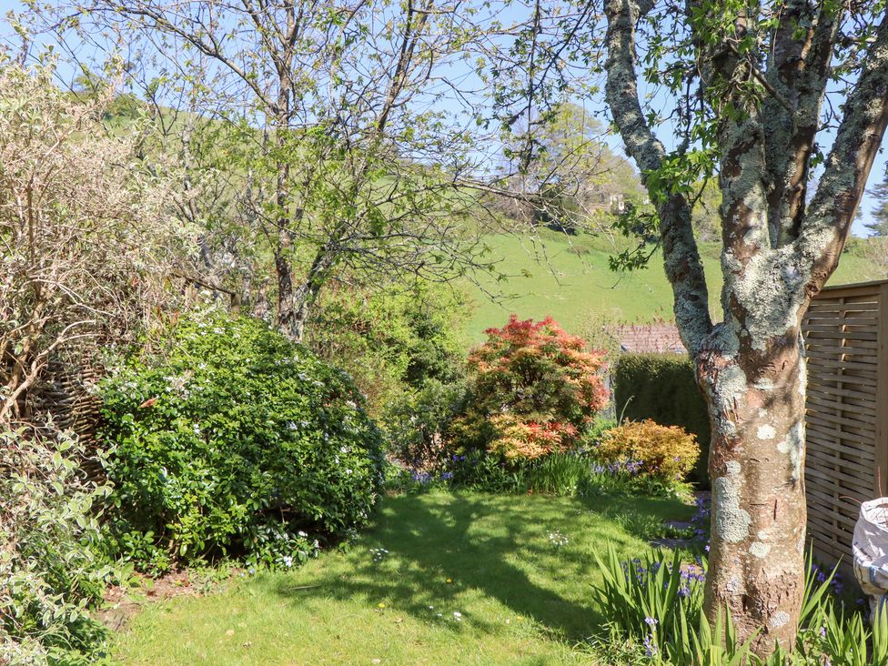 Jasmine Cottage - Devon - 999906 - thumbnail photo 28