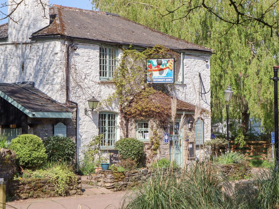 Jasmine Cottage - Devon - 999906 - thumbnail photo 36